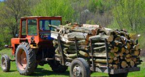 transport ilegal de lemne