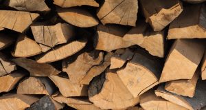 lemne de foc shutterstock