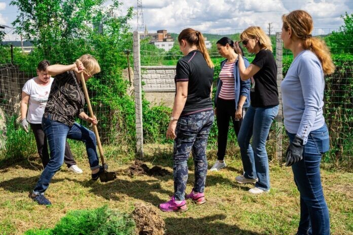 Saptamana nationala a voluntariatului