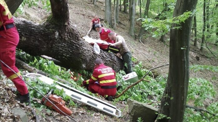 accident