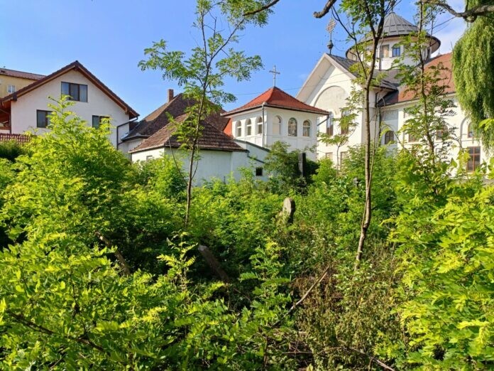 Cimitrul Evreiesc Sibiu