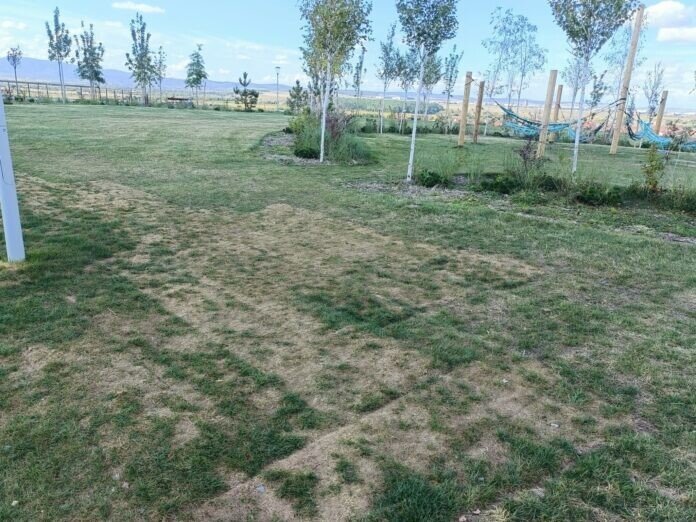 Parcul-Belvedere-sept-2023-18