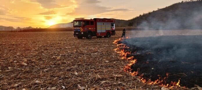 a143609d-5ab3-4a2c-bbe1-390ac3bb3af7-1