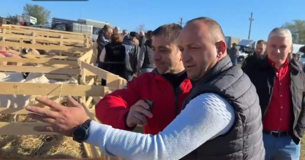 62747f03-4bee-49f2-a5be-f5efdcb9b224