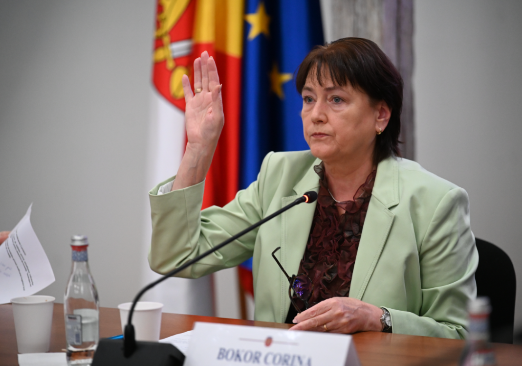 consilier local PSD, Bokor Corina