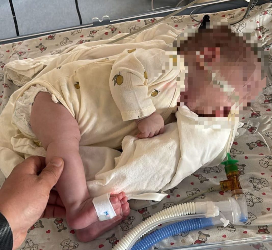 WhatsApp Image 2025-10-05 at 16.57.27