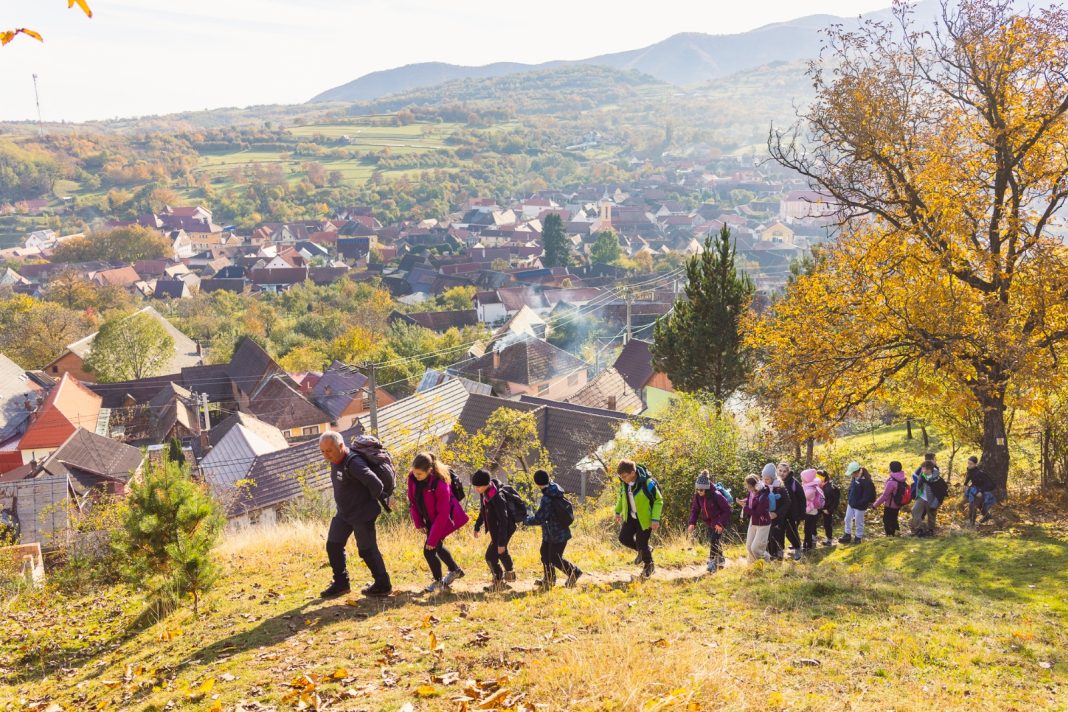 WhatsApp Image 2025-10-28 at 10.22.54