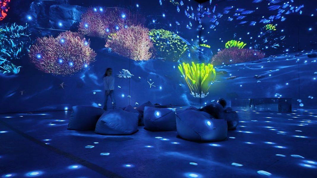 155f6c0c-6552-4a88-a64c-cafcfc0ef25d