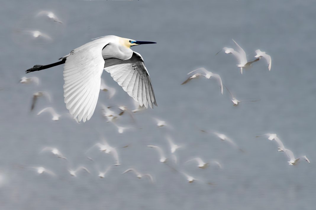 579101259_1142456491336771_7236162234712505283_n