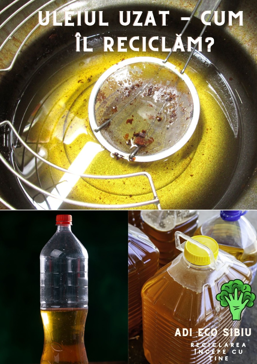 584117715_122220978560108445_620954373561645886_n