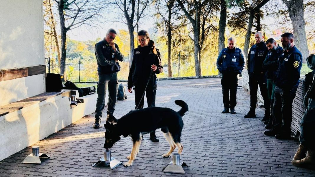 589169072_790146157387782_9108220501915069195_n