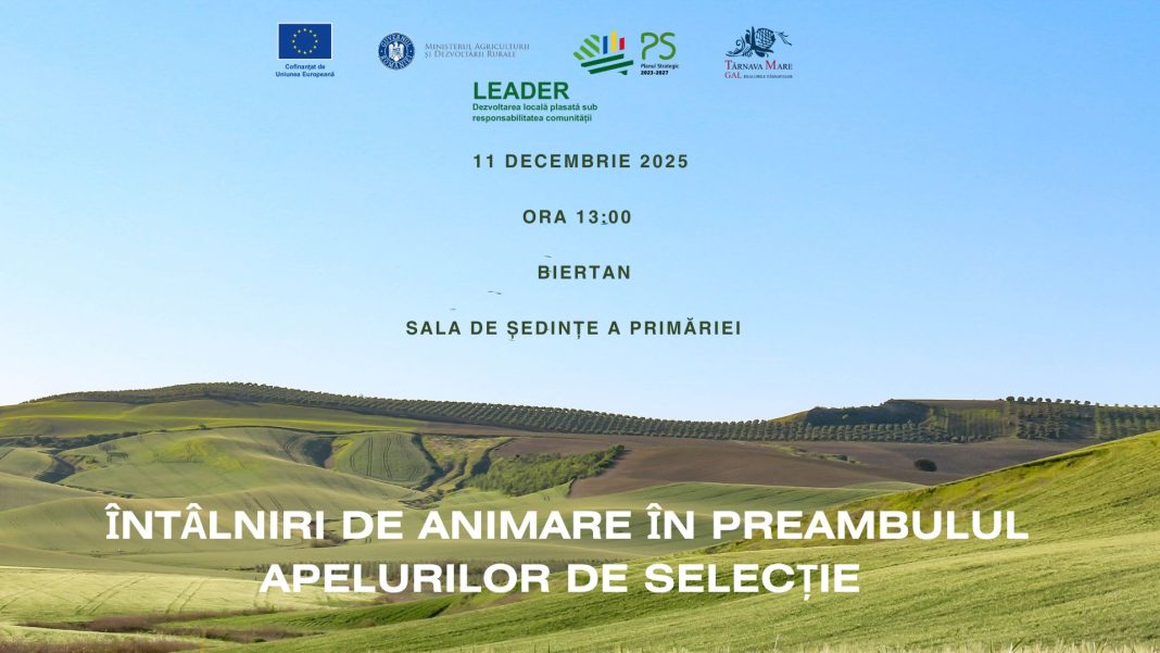 596810384_827861503476586_676335280010538355_n