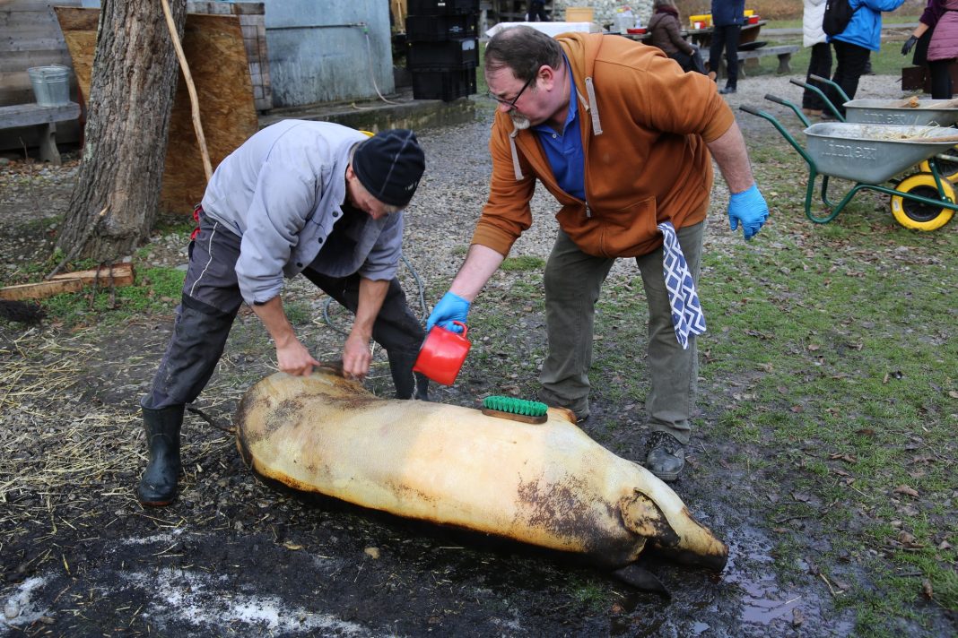 598761647_1451979743601777_5991442357101160370_n