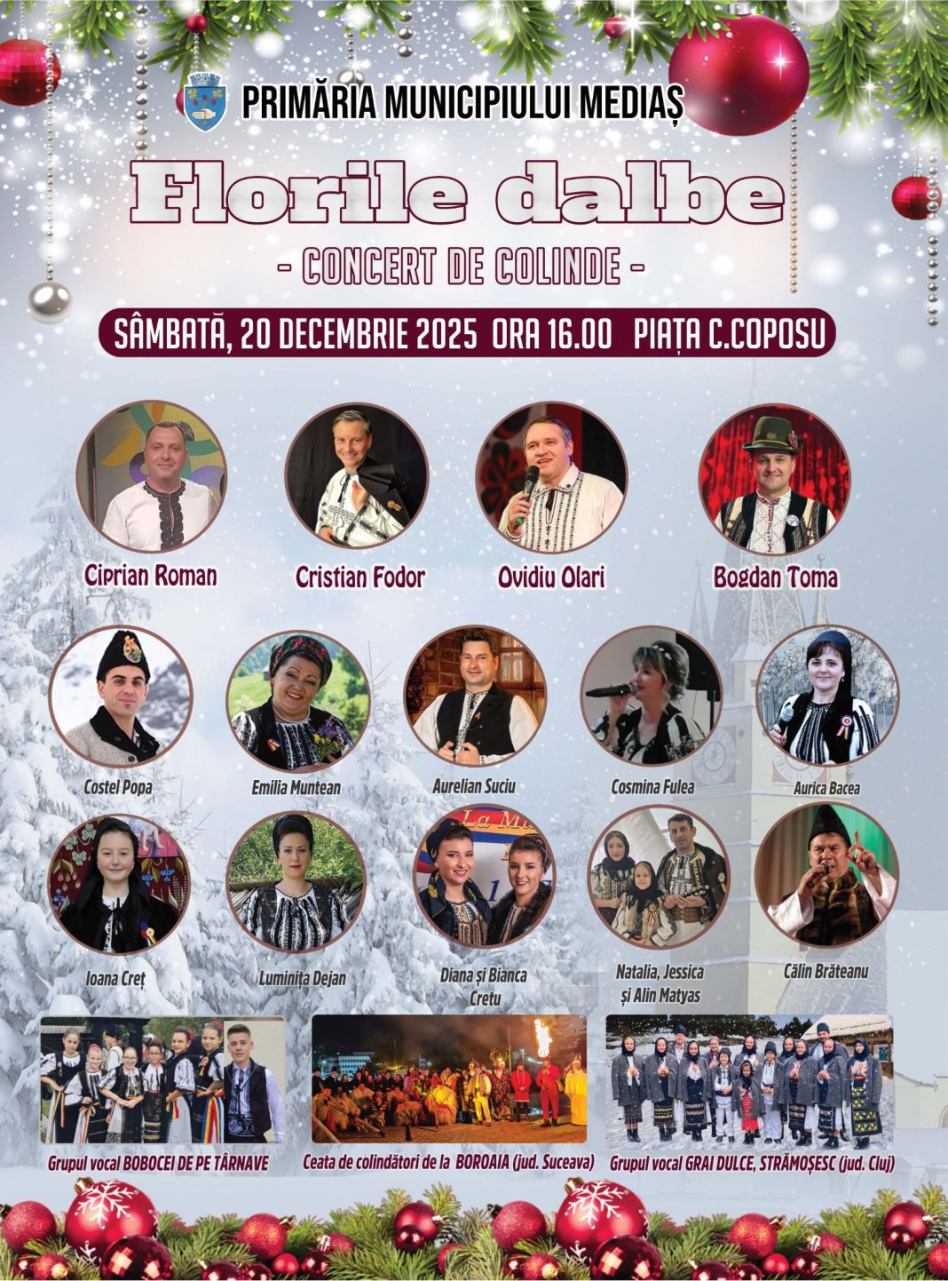 afis concert florile dalbe Medias
