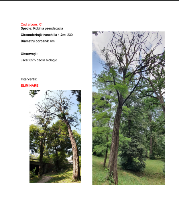 Screenshot 2026-01-26 150724