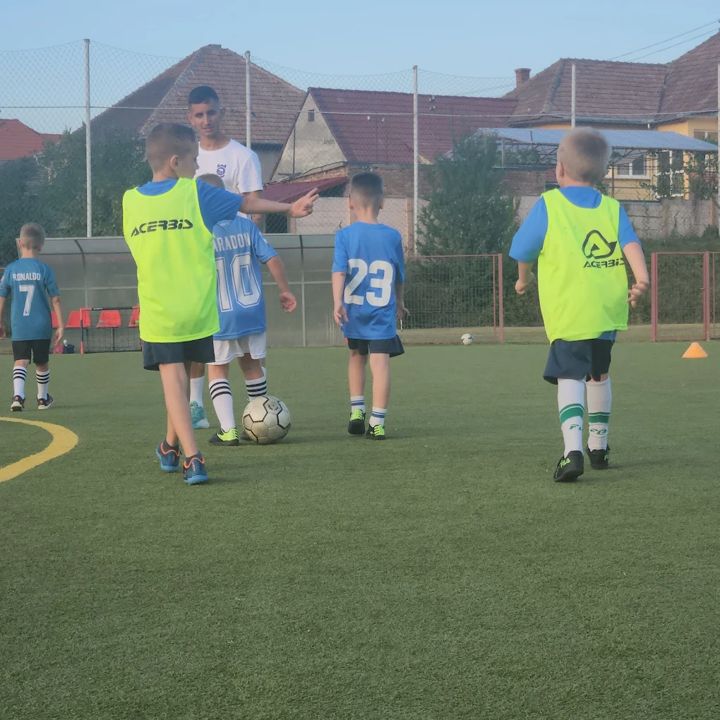 stadion magura cisnadie