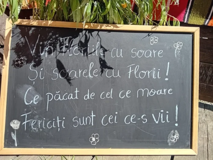 Vedere panoramică a Muzeului ASTRA în timpul sărbătorii Floriile, cu oameni în costume tradiționale.
