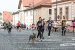 Închideri de trafic și parcări pentru desfășurarea Maratonului Internațional Sibiu. Restricții în centrul orașului și pe traseele competiției în perioada 29–31 mai