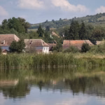 Concurs de pescuit crap la Cupa Lacului Brădeni, pescari în acțiune pe malul apei.