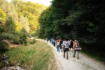 Drumeție sub Perseide spre Vârful Derjani. Traseu de nouă kilometri, parcurs până după lăsarea întunericului