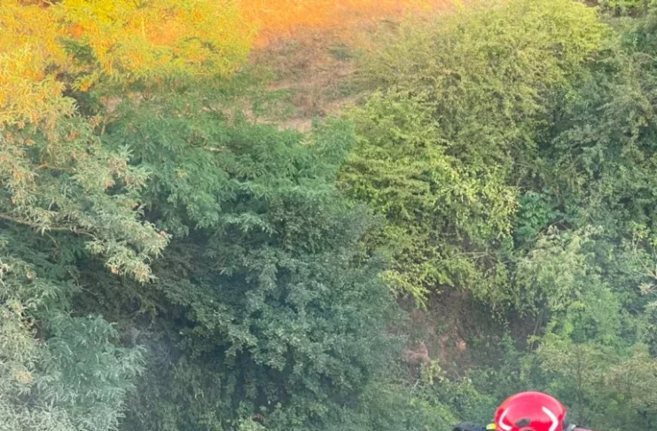 Incendiu pe aproximativ zece hectare la Târnava. Ard vegetația uscată și deșeurile din fosta groapă de gunoi