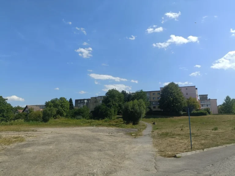 Producătorii care vând legume direct din camioane, mutați în Grădina Mare din Cisnădie. Decizia viceprimarului Gabriel Florea