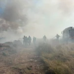 Panoramă a incendiului pe Valea Avrigului, cu flăcări și fum dens acoperind pădurea.