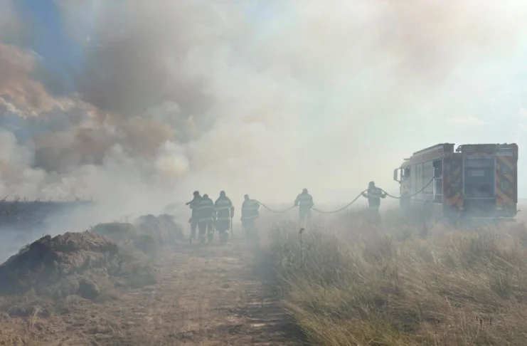 Incendiu pe Valea Avrigului. Flăcările au cuprins aproximativ 50 de hectare de teren!