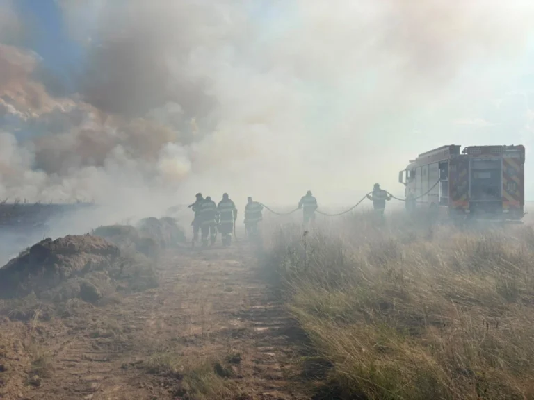 Incendiu pe Valea Avrigului. Flăcările au cuprins aproximativ 50 de hectare de teren!