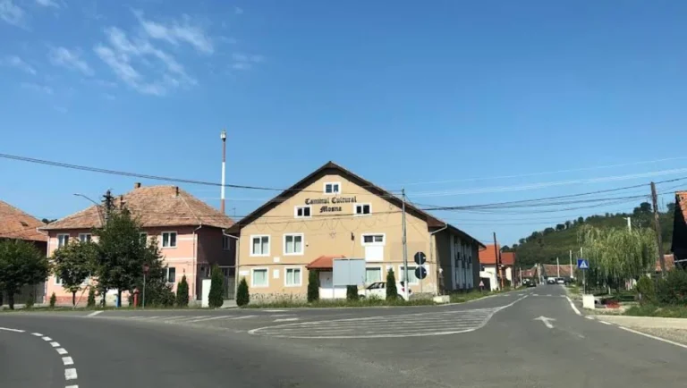 Primăria Moșna recunoaște o eroare în SEAP: un panou estimat la 720 de lei a fost acceptat la 1.310 lei
